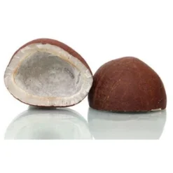 Coconut (Copra) Dry Whole 2pc, - 7oz (200g) - Rani Brand Authentic Indian Products -Kitchen GUEST 3298edf0 846c 42d0 9a62 6d33c0062196