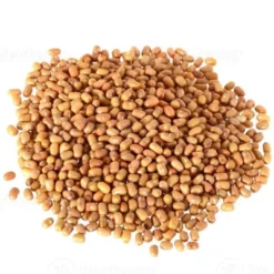 Moth Beans Whole (Matki) - 64oz (4lbs) 1.81kg - Rani Brand Authentic Indian Products 11 Moth Beans Whole (Matki) - 64oz (4lbs) 1.81kg - Rani Brand Authentic Indian Products -Kitchen GUEST 3816eeac 8aab 40d4 98eb 51c682c456a3