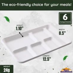 6 Compartment Square Biodegradable Divided Plates - Pack Of 250 - Rani Brand Authentic Indian Products -Kitchen GUEST 3a852c66 dbf1 477f 8098 bc9a369acbeb