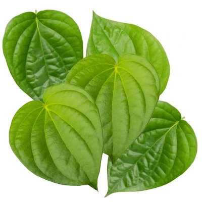 Rani Brand Authentic Indian Foods | Fresh Leaves 19 Rani Brand Authentic Indian Foods | Fresh Leaves - Image 17