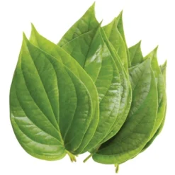 Rani Brand Authentic Indian Foods | Fresh Leaves 26 Rani Brand Authentic Indian Foods | Fresh Leaves -Kitchen GUEST 4b7ee981 5801 4ced a8ae 485477785f02