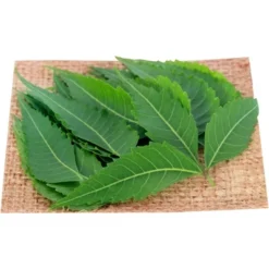 Rani Brand Authentic Indian Foods | Fresh Leaves 31 Rani Brand Authentic Indian Foods | Fresh Leaves -Kitchen GUEST 7ef4b0ee f1d7 453b b1a2 ffd427026036