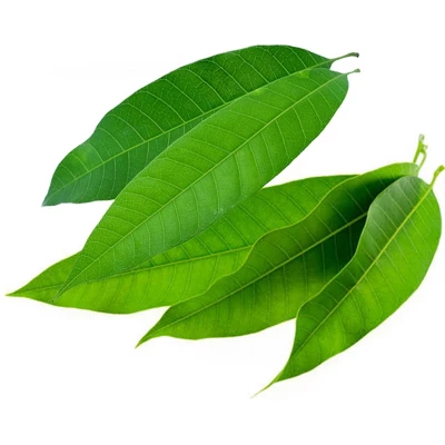 Rani Brand Authentic Indian Foods | Fresh Leaves 18 Rani Brand Authentic Indian Foods | Fresh Leaves - Image 16