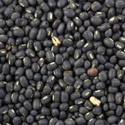 Urad Whole Black (Matpe Beans W/Skin) - 32oz (2lbs) 908g - Rani Brand Authentic Indian Products -Kitchen GUEST a0a86f38 8b4b 4d67 bfef eb08e7d94472 1
