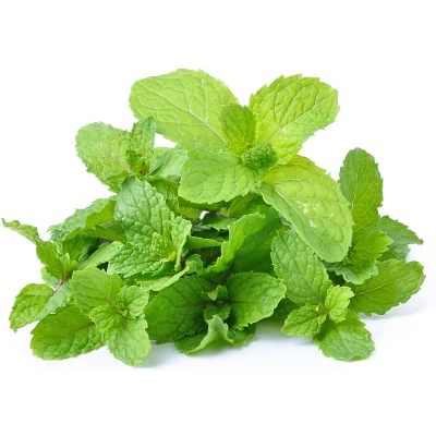 Rani Brand Authentic Indian Foods | Fresh Leaves 4 Rani Brand Authentic Indian Foods | Fresh Leaves - Image 2